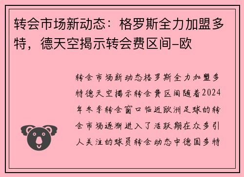转会市场新动态：格罗斯全力加盟多特，德天空揭示转会费区间-欧