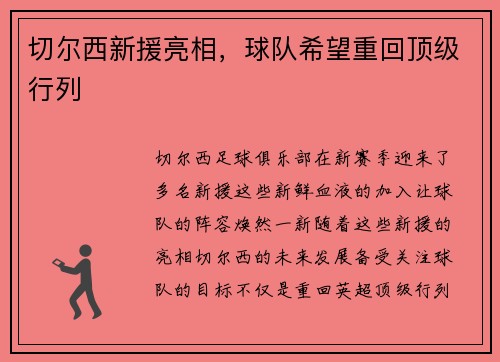 切尔西新援亮相，球队希望重回顶级行列