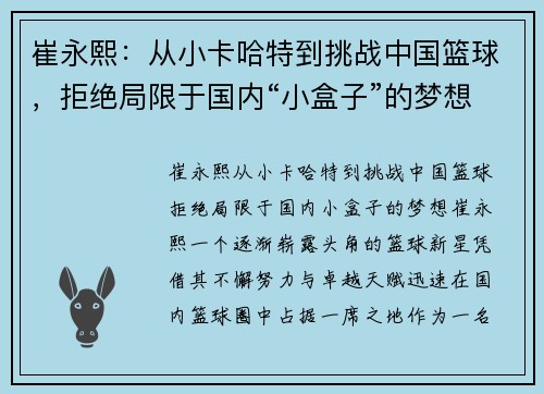 崔永熙：从小卡哈特到挑战中国篮球，拒绝局限于国内“小盒子”的梦想