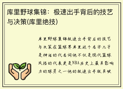 库里野球集锦：极速出手背后的技艺与决策(库里绝技)